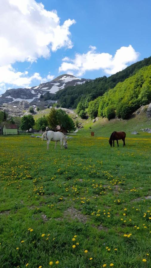 Katun Mokra Accommodation & Horseback Riding Podgorica Zewnętrze zdjęcie
