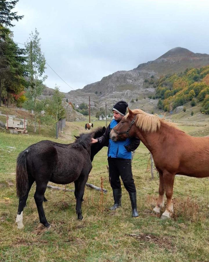 Katun Mokra Accommodation & Horseback Riding Podgorica Zewnętrze zdjęcie