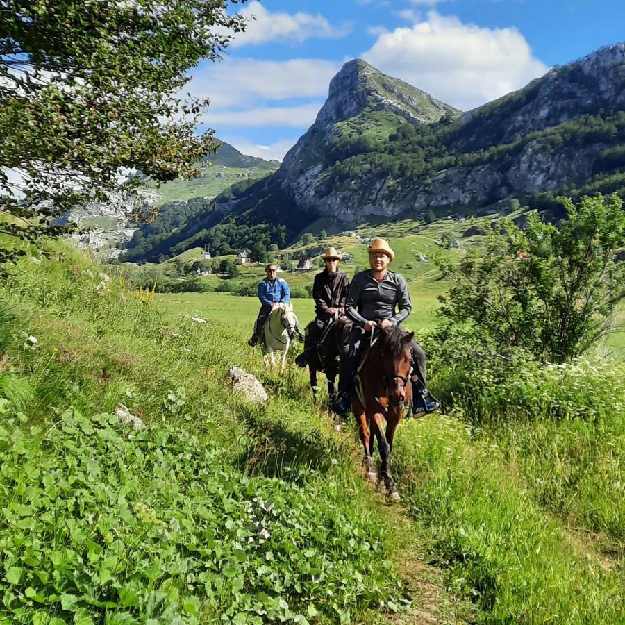 Katun Mokra Accommodation & Horseback Riding Podgorica Zewnętrze zdjęcie