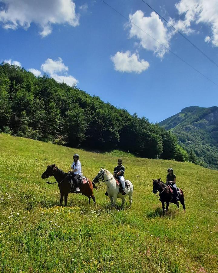 Katun Mokra Accommodation & Horseback Riding Podgorica Zewnętrze zdjęcie
