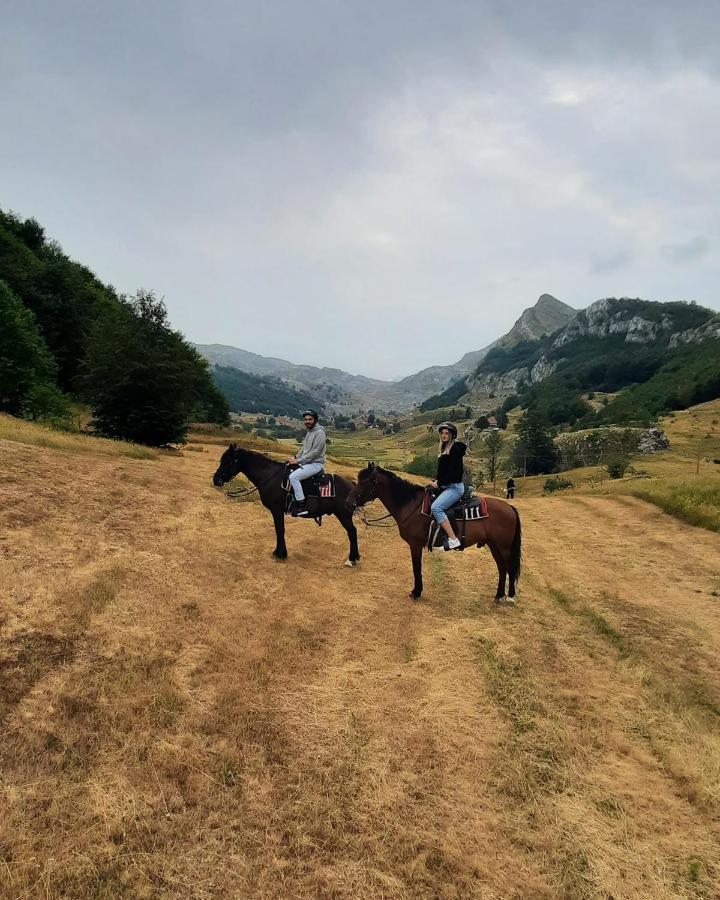 Katun Mokra Accommodation & Horseback Riding Podgorica Zewnętrze zdjęcie