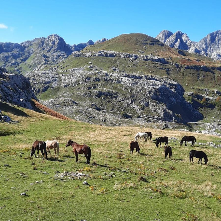 Katun Mokra Accommodation & Horseback Riding Podgorica Zewnętrze zdjęcie
