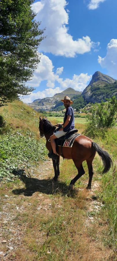 Katun Mokra Accommodation & Horseback Riding Podgorica Zewnętrze zdjęcie