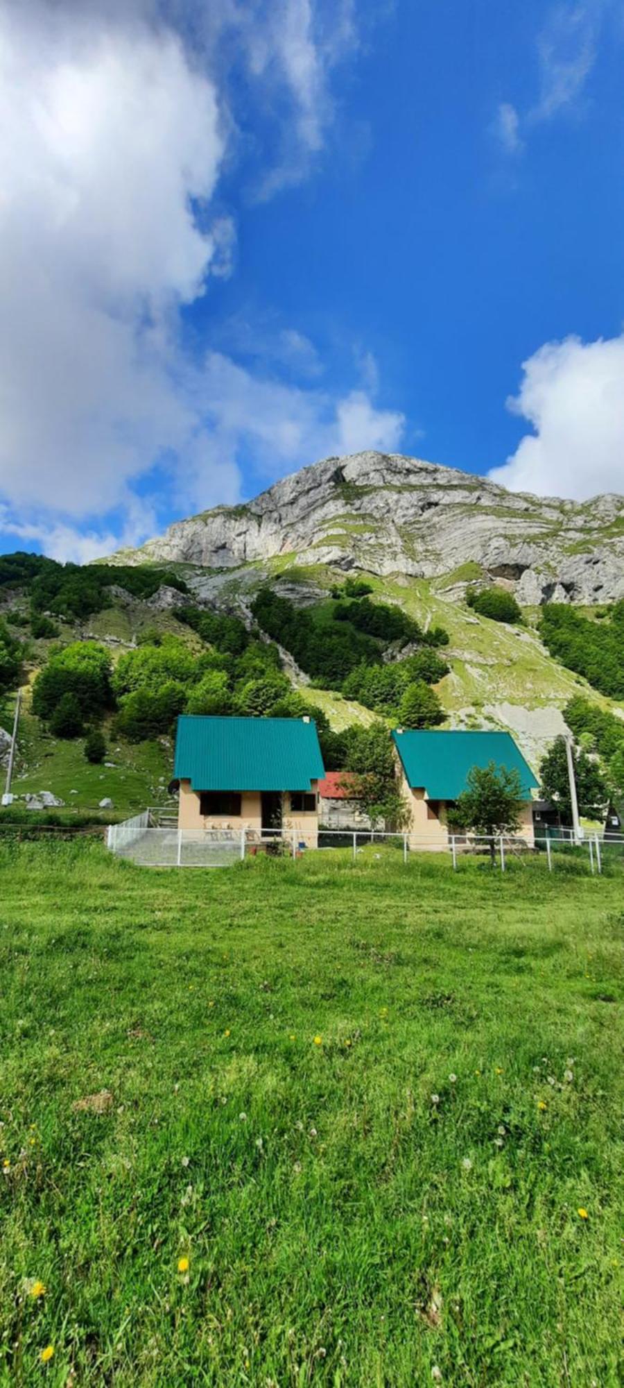 Katun Mokra Accommodation & Horseback Riding Podgorica Zewnętrze zdjęcie