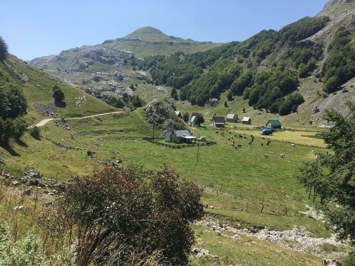 Katun Mokra Accommodation & Horseback Riding Podgorica Zewnętrze zdjęcie