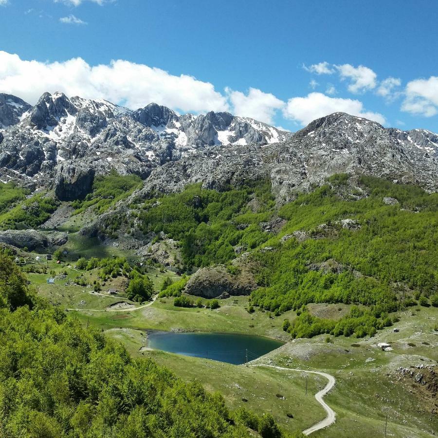 Katun Mokra Accommodation & Horseback Riding Podgorica Zewnętrze zdjęcie