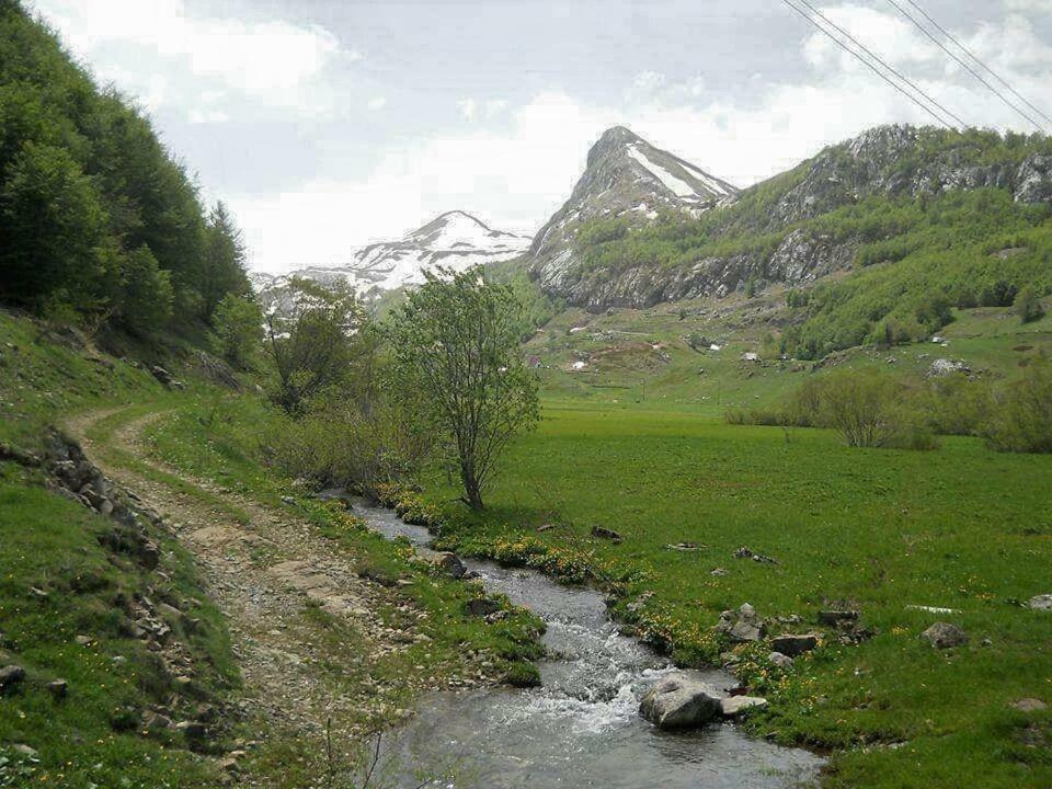 Katun Mokra Accommodation & Horseback Riding Podgorica Zewnętrze zdjęcie